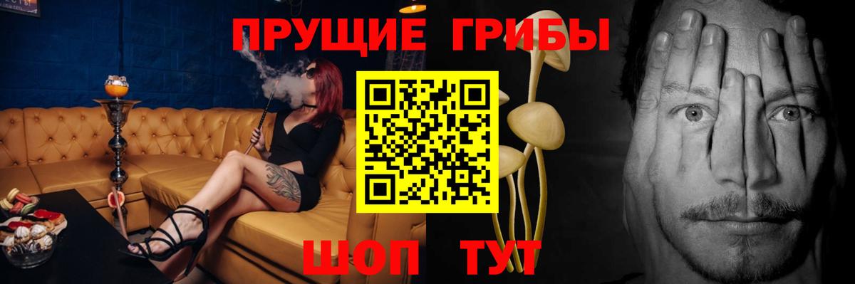 Галлюциногенные грибы Cubensis  Вход с VPN  Ишим 